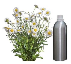 Essential Oil Chamomile 100% Pure Natural Therapeutic Aromatherapy 30ml ... - £73.87 GBP+