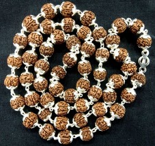 Rudraksha Chikna (Pathri) Beads Mala in Pure Silver - 8mm - 54 Beads - C... - $188.10