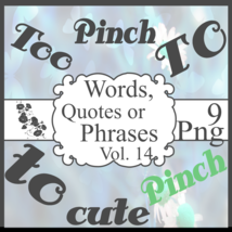 Words, Quotes or Phrases Vol. 14 - $93.95 MXN
