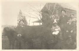 Old Photograph 5x7 Family w/Oxen in Bunker Hill, WV Child Holding Doll - $9.90