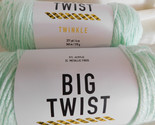 Big Twist Twinkle lot of 2 Mint Dye Lot 653549 - $17.99