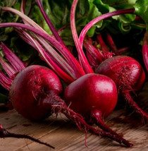 Beet Ruby Queen Heirloom Root Vegetable Aas Award Winner Usa Non-Gmo 100... - £7.74 GBP