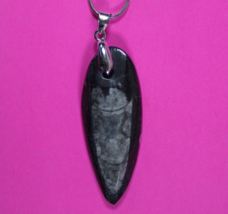 Authentic Orthoceros Necklace Fossil 500 Million Years Old Dinosaur Girl... - $41.13 CAD