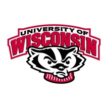 Wisconsin Badgers Precision Cut Decal - $3.46+