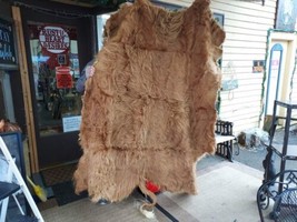 Scottish Highland Steer Hide. 74&quot; X 50&quot;  Taxidermy Rug Hide Brand New - £786.91 GBP