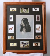Cocker Spaniel Dog Collage Framed Matted Photos Stamps Cigarette Cards B... - £24.25 GBP