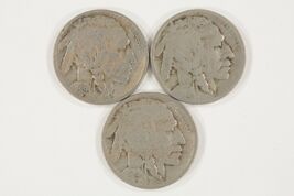 Lot of 3 Buffalo Nickels (1919-P + D + S) in VG to VF Condition, Natural... - $75.00