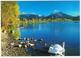 Germany Postcard Idyll am Bergsee Swans - £2.28 GBP