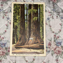 Vtg Linen Postcard Yosemite National Park The Three Graces Redwood Unpos... - $74.37 MXN
