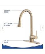 Bemis Bio Bidet FLOW Motion Activated Gold Kitchen Faucet Pull-Down Sprayer - $2,073.40 MXN