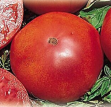 65 Pc Seeds Red Brandywine Tomato Vegetable Plant, Tomato Seeds for Planting |RK - £15.18 GBP