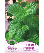 New Fresh Lemon Balm Herb Seeds Pack 40 Seeds Pack Mentha Citrata Lemon ... - $18.96 CAD