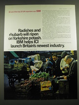 1968 IBM Computers Ad - Radishes and rhubarb will ripen on Yorkshire potash.  - $18.49