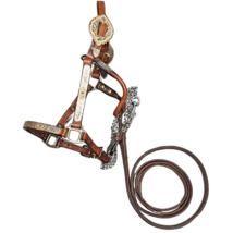 Kathy's Sterling Silver Overlay Weanling Western Show Halter with Tory Lead image 6