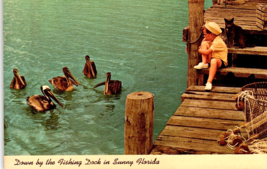 Fishing Dock Black Brown Cat Child Boy Pelicans Florida Postcard Photo Chrome - £13.41 GBP