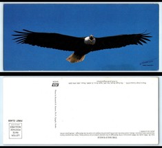 Vintage OVERSIZE Postcard - Bald Eagle, 200th Anniversary As National Symbol  - £2.33 GBP