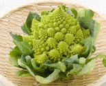 250 Romanesco Broccoli Seeds Fast Shipping - $8.99