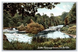 Demesne Lucan River Dublin Ireland UNP DB Postcard F22 - £3.17 GBP