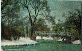Vintage Postcard Bridge in Lincoln Park in Snow Storm Chicago Illinois 1911 - £8.85 GBP