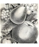 Apples Pears Grapes 1863 Victorian Farming Agriculture Steel Plate Art D... - £39.30 GBP