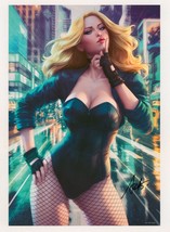 Stanley Artgerm Lau SIGNED DC Portfolio JLA Poster Art Print ~ Black Canary - £39.51 GBP