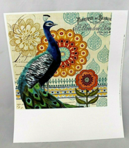 Jennifer Brinley  Peacock I  Wall Art Print 12&quot; X 12&quot; Square 16&quot; X1 4&quot; MATTE VTG - $43.69