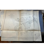 Antique Map 1853 U.S. Coast Preliminary Survey Shoalwater Bay Washington 18x15"