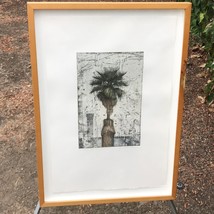 David Smith Harrison Vintage Palm Tree Etching Signed &amp; Framed - £1,122.56 GBP