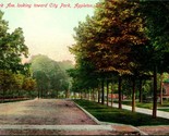Vtg Postcard c 1908 Park Ave Looking Toward City park - Appleton, Wisconsin - $5.97