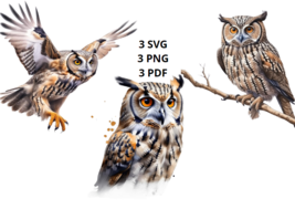 Owl SVG. Owl svg 3 bundle. Owl clipart. Svg birds. Templates and decals.  - £2.36 GBP