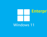 Microsoft Windows 11 Enterprise - Lifetime License/product key - $40.30