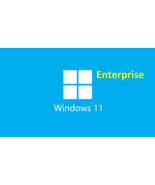 Microsoft Windows 11 Enterprise - Lifetime License - $40.30