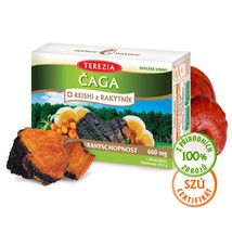 Organic Chaga + Reishi Mashrooms + Sea Buckthorn Antioxidant 60 pcs vitamins BIO - $27.99
