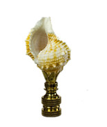 Bursa Sea Shell Lamp Finial with Polished Brass Base 2.25&quot;h - £27.23 GBP
