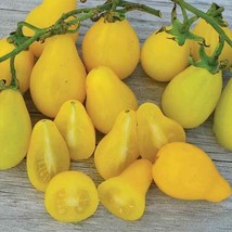 Tomato – Yellow Pear HEIRLOOM 30+ Seeds, 100% Organic, Non GMO Grown In USA - £3.17 GBP