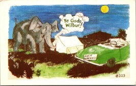 Comic: &quot;Ye Gods Wilbur !&quot; Vintage Unused Noble Chrome Camping honey moon  - £3.98 GBP