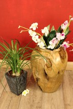 Teak Root Wood Vase Dried Flowers Wood Decoration Solid Wood Flowerpot L... - $194.83