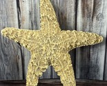 Real Starfish Seashell - Dried Desiccated - 6&quot; - Nautical Decor - $16.44