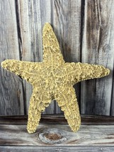Real Starfish Seashell - Dried Desiccated - 6&quot; - Nautical Decor - $16.44