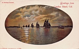 Catalina Island Ca~Greetings FROM-MARINE SCENE-SAILBOATS Moonlight Postcard 1905 - £3.41 GBP