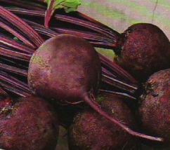 150 Pc Seeds Beets Ruby Queen Vegetable Plant, Beets Seeds for Planting | RK - £8.36 GBP