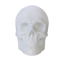 Skull Light Up Speaker - $44.35