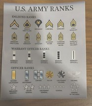 United States  Army Rank Progression Chart Set Enlisted Officers Warrant - $14.76