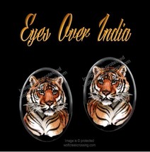 BENGAL TIGER EARRINGS - WILD CAT WILDLIFE ART - POST STUD PIERCED - FREE SHIP' - $20.76