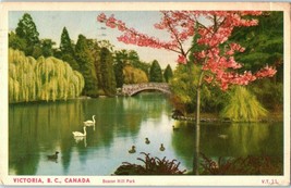 Vintage Postcard Bridge in Beacon Hill Park Victoria BC Canada Posted 1950 - £9.48 GBP