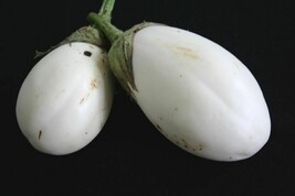 25 Seeds Wonder Eggs Eggplant White Wonder New Fast Shipping - $4.20