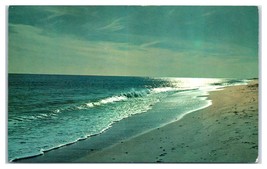 Long Island Seashore New York Unused Postcard - £11.84 GBP
