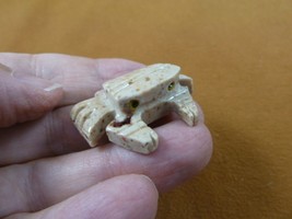 (Y-CRA-5) little tan gray Crab SOAPSTONE stone figurine Pachygrapsus lov... - $8.59