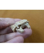 (Y-CRA-5) little tan gray Crab SOAPSTONE stone figurine Pachygrapsus lov... - £6.75 GBP