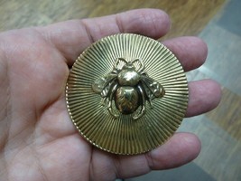 (b-bee-11) Bee bumble bees insect bug sunburst brass pin pendant brooch honey - £14.06 GBP